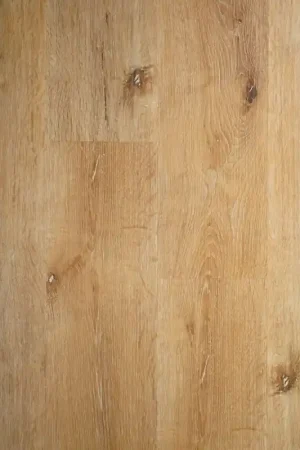 Beperkt Aanbod TreeFloor Titan Winter Eik Plank XL Click