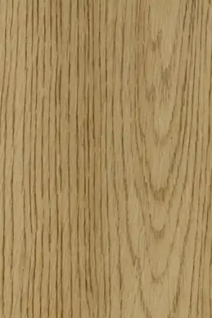 Forbo Allura Decibel Wood Natural Antique Oak 5404AD3 Plank Dryback Beperkte Voorraad