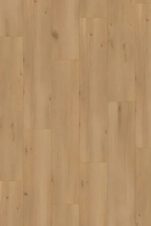 Alleen Vandaag Hoomline Elite Vecht 6080