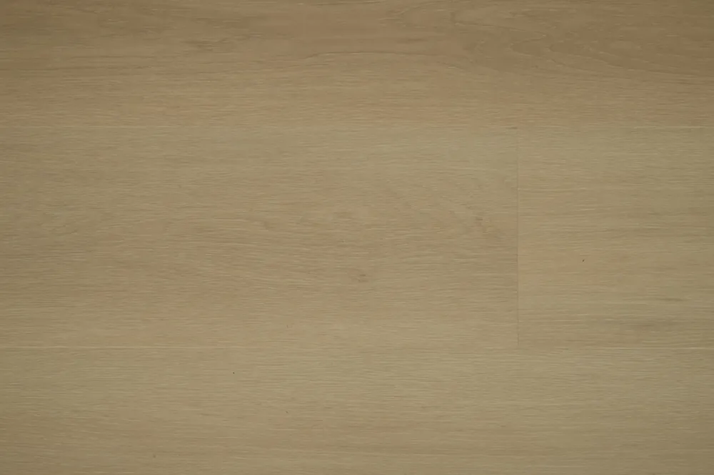 Enviro Nature C006 Plank XL Dryback Koop Vandaag