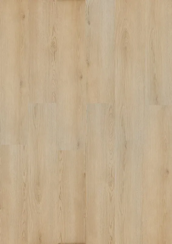Hoomline City Groningen 7045 Plank Click Laatste Kans