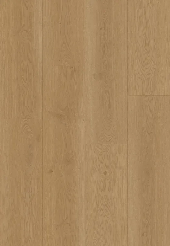 Hoomline Elegance Ooievaar 51316 Plank XL Dryback Goedkoop