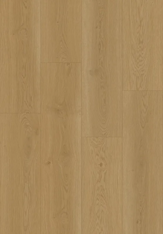 Hoomline Elegance Kraanvogel 51315 Plank XL Dryback Alleen Vandaag