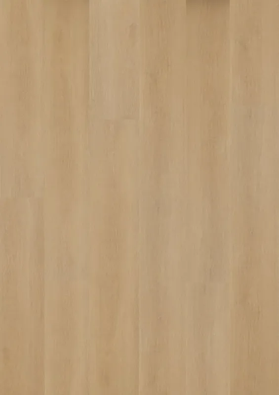 Hoomline Prestige Cannes 5052 Plank XL Dryback Alleen Vandaag