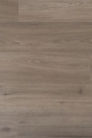 Douwes Dekker Solide Plank Marjolein Goedkoop