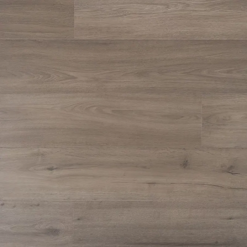 Douwes Dekker Solide Plank Marjolein Goedkoop