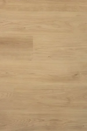 Douwes Dekker Plank Nootmuskaat Direct Verzonden
