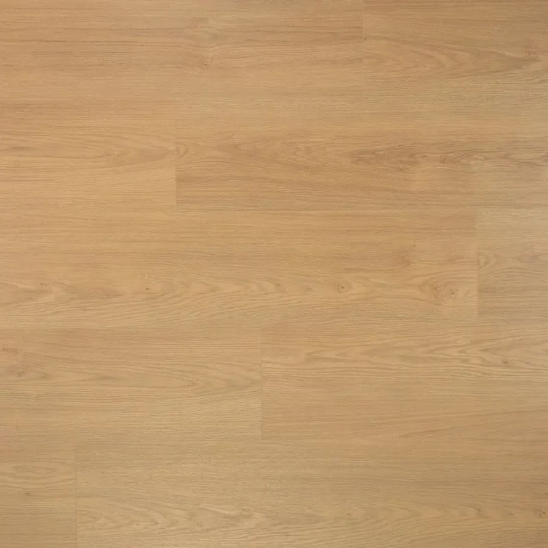 Douwes Dekker Extra Lange Plank Kaviaar Beste Prijs