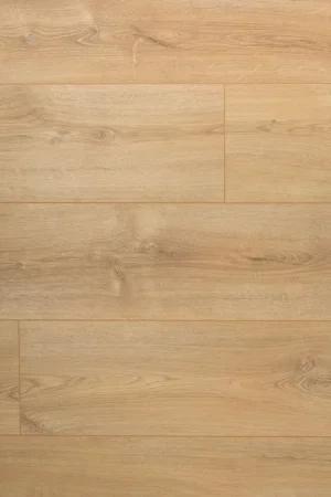 Douwes Dekker Extra Lange Plank Basilicum Superprijs
