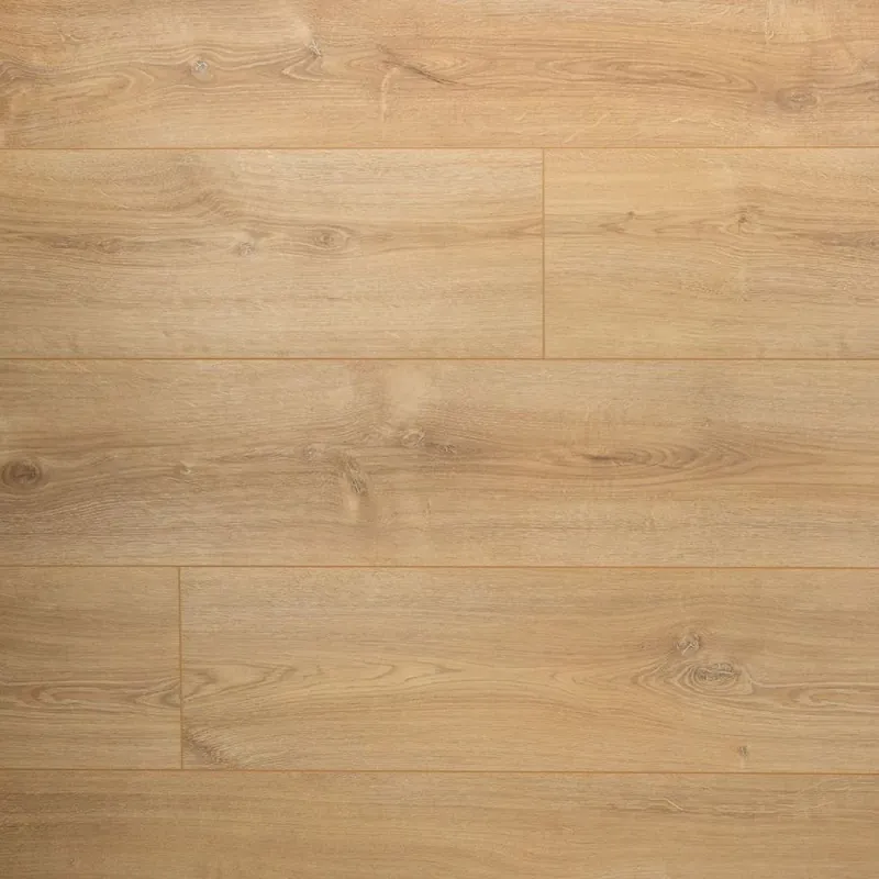 Douwes Dekker Extra Lange Plank Basilicum Superprijs