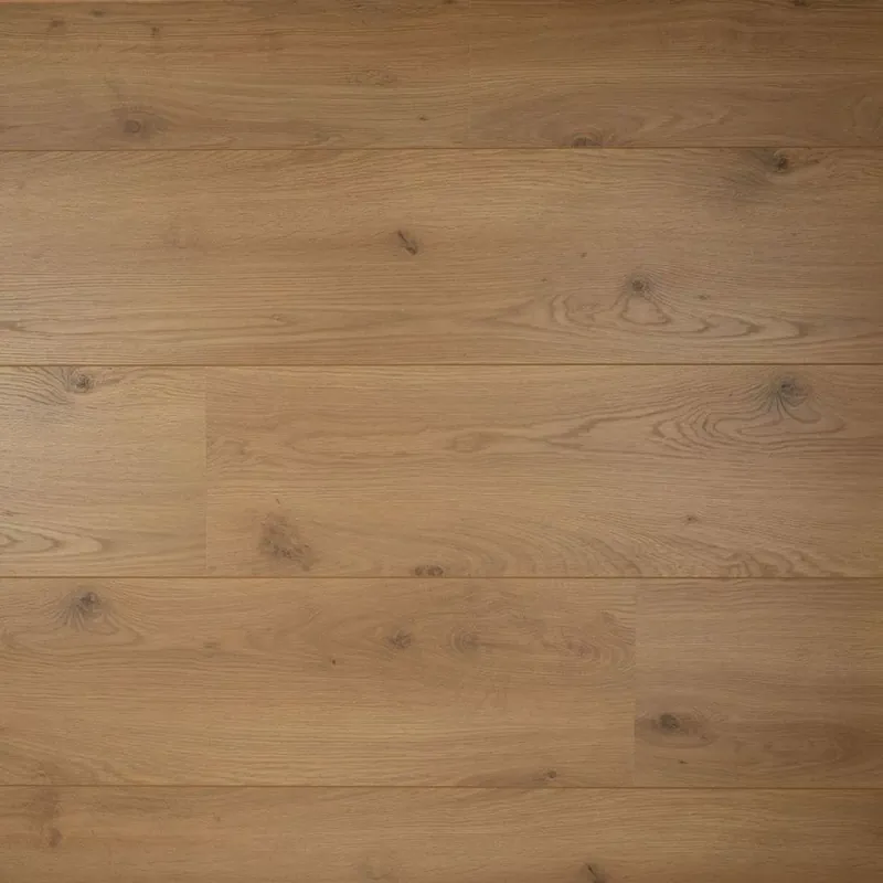 Actieprijs Douwes Dekker Brede Plank Peterselie