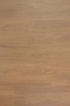 Douwes Dekker Brede Plank Olijf Laatste Kans
