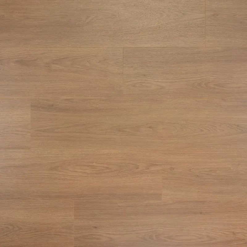 Douwes Dekker Brede Plank Olijf Laatste Kans
