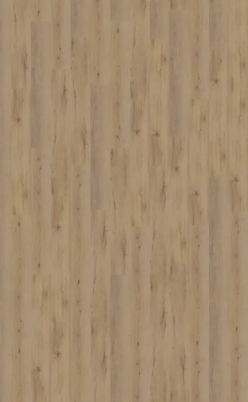 Meest Verkocht Belakos Attico 800 Plank XL Dryback