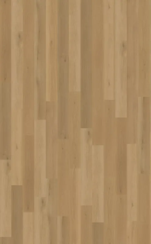 Belakos Borgo 320 Plank XL Dryback Bestel Nu
