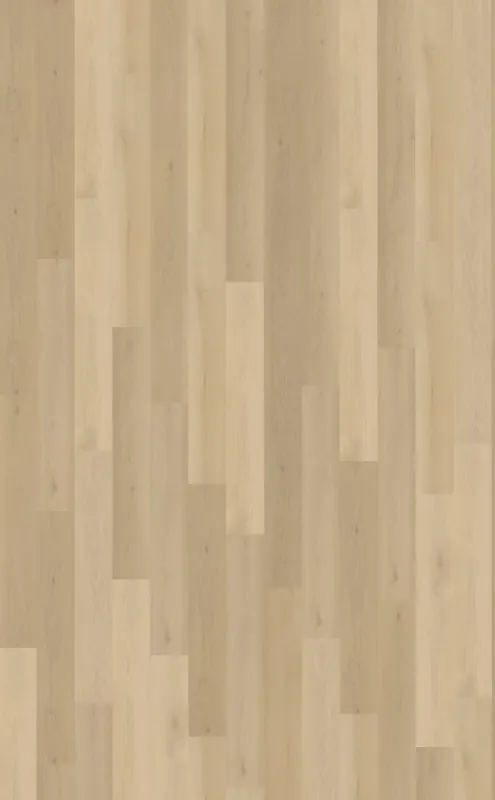 Belakos Borgo 310 Plank XL Dryback Beperkt Aanbod