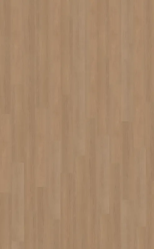 Betaalbaar Belakos Futuro 500 Plank XL Click