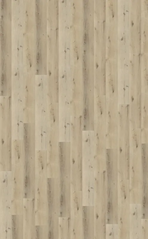 Belakos Palazzo 150 Plank XL Dryback Gecertificeerd