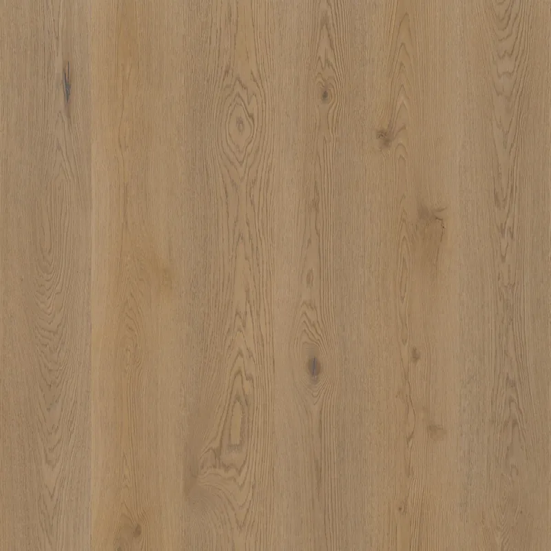 Therdex Authentic 15063 Plank XL Dryback Betrouwbaar
