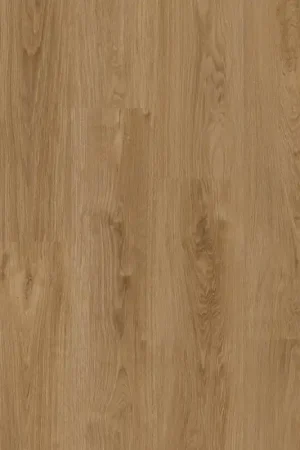 Koop Vandaag Therdex Classic 15124 Plank XL Dryback