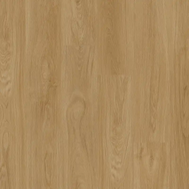 Therdex Classic 15123 Plank XL Dryback Direct Verzonden