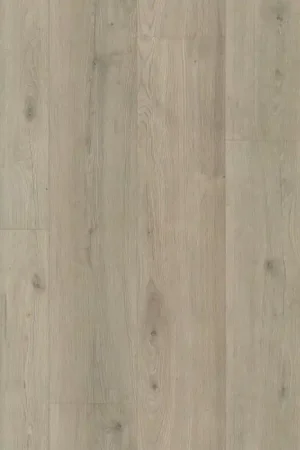 Ambiant Aachen grijsbeige eiken Alleen Vandaag
