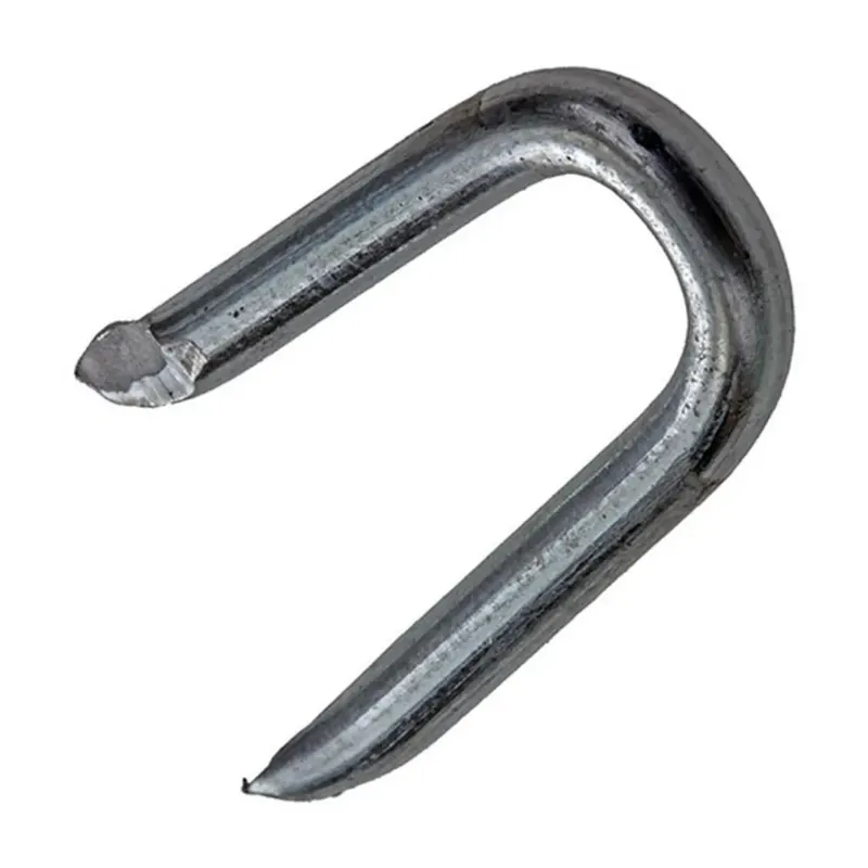 Direct Beschikbaar Mack Krammen 250 gram 4,0 x 40 mm