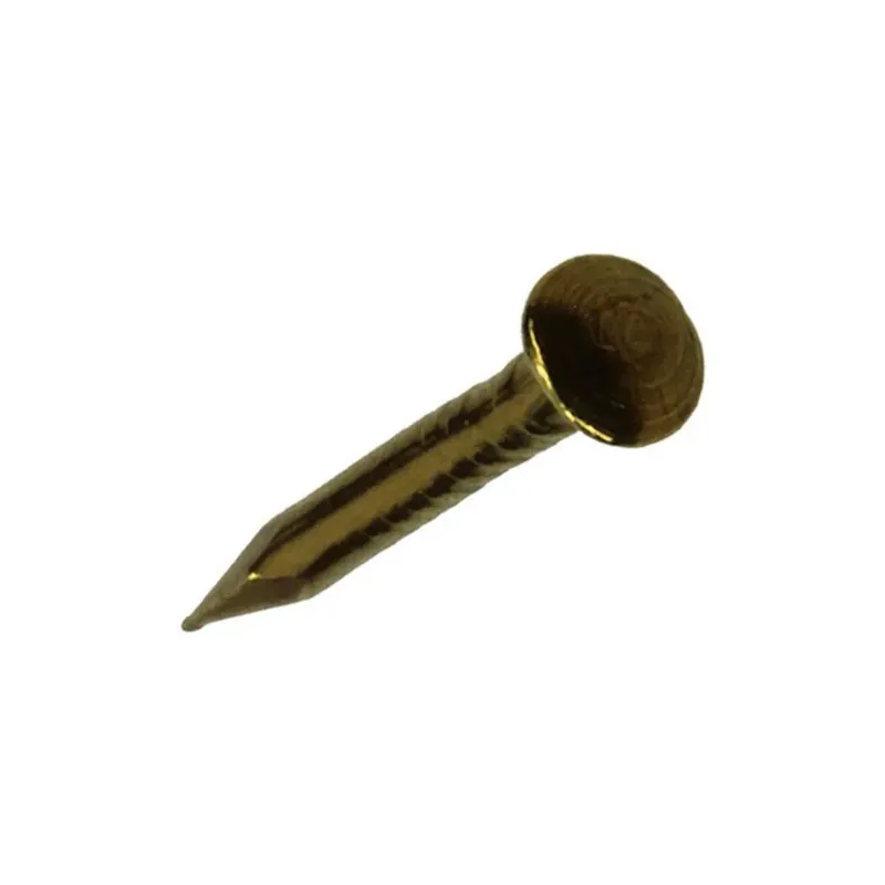 Meest Verkocht Mack Nagel Bolle Kop 20 gram 1,2 x 12 mm