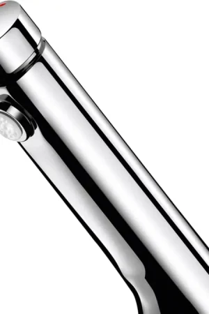 Populair Delabie Temposoft 2 wastafelkraan zelfsluiting 7 sec M1/2" voorsprong 10cm chroom 740500