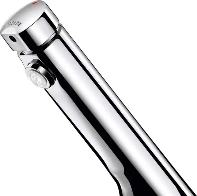Populair Delabie Temposoft 2 wastafelkraan zelfsluiting 7 sec M1/2" voorsprong 10cm chroom 740500