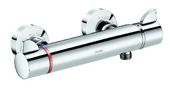 Op = Op Delabie Securitherm douchethermostaat met S-koppeling chroom H9741