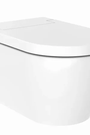Betaalbaar Rapotec Rapowash basic 2.0 douche-wc met afstandbediening wit 750156