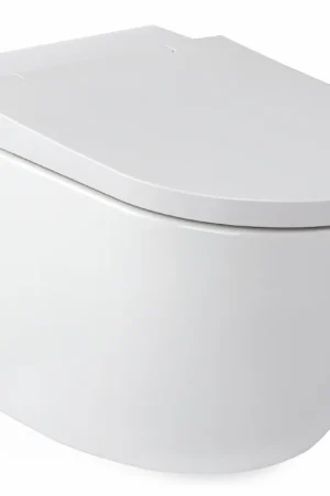 Rapotec RapoWash Vital L douche-wc met afneembare verwarmde zitting en meerdere spoel- en droogopties wit 750160 Direct Verzonden
