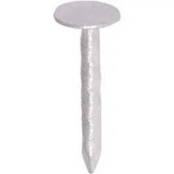 Aanbieding Asfaltnagels 1/2kg 20mm
