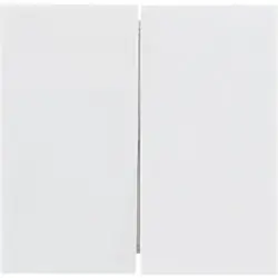 Koop Online Gira System 55 schakelwip Dubbel glanzend wit