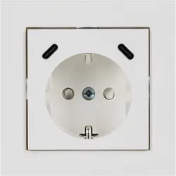 Fabrieksprijs ProCharge wandcontactdoos RA met USB-voeding 2x USB C Wit