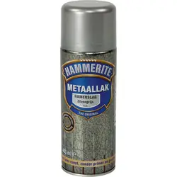 Favoriet Hammerite hamerslag metaallak 400ml zilvergrijs H115