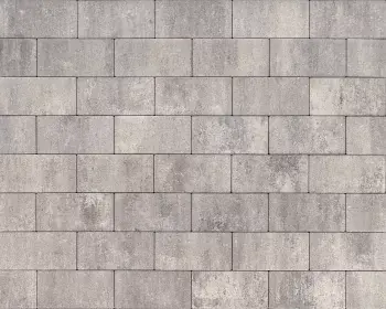 SB-2718 betonklinker 20x30x6cm ★★★☆☆ Voordeelprijs