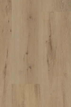 Attico 800 Alleen Vandaag