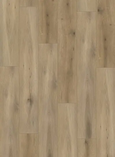 Exclusieve Aanbieding Callisto 4103