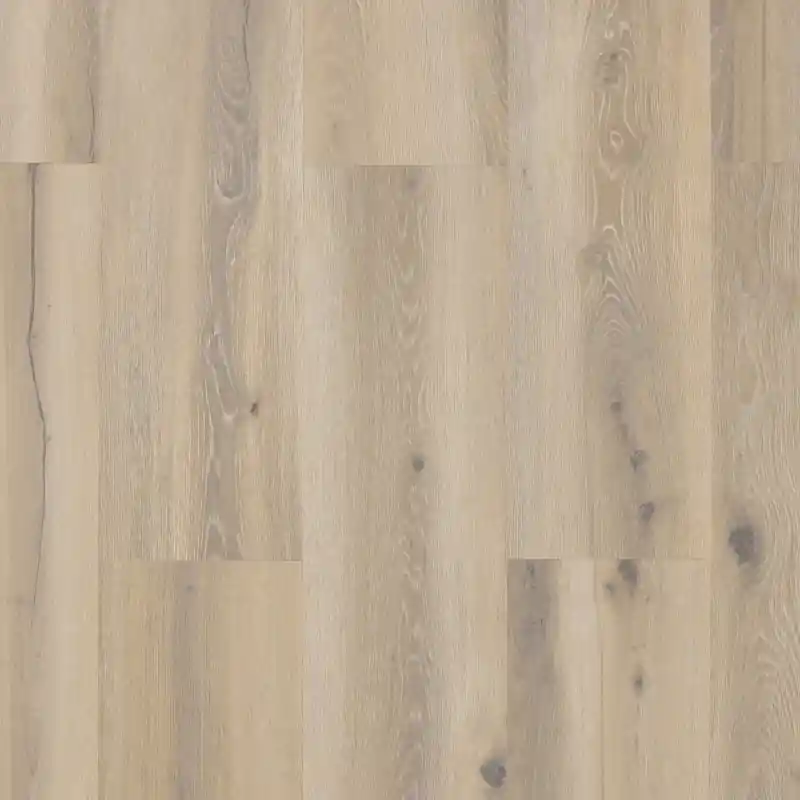Castell Premium 871 029 Forest Betrouwbaar