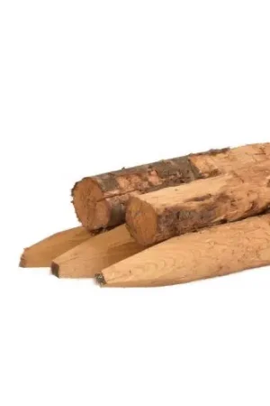 Meest Verkocht Paal kastanje geschild Ø 6-8 cm