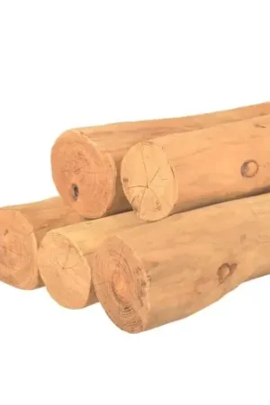 Op = Op Ronde paal robinia geschild spintvrij geschuurd Ø 10-14 cm