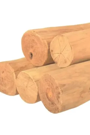 Ronde paal robinia geschild spintvrij geschuurd Ø 15-19 cm Beperkte Voorraad