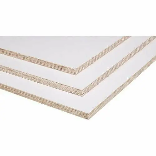 Koop Online Multiplex plaat wit gegrond 15 mm hardhout Okoumé CE2+ WPB B/BB 250 x 122 cm