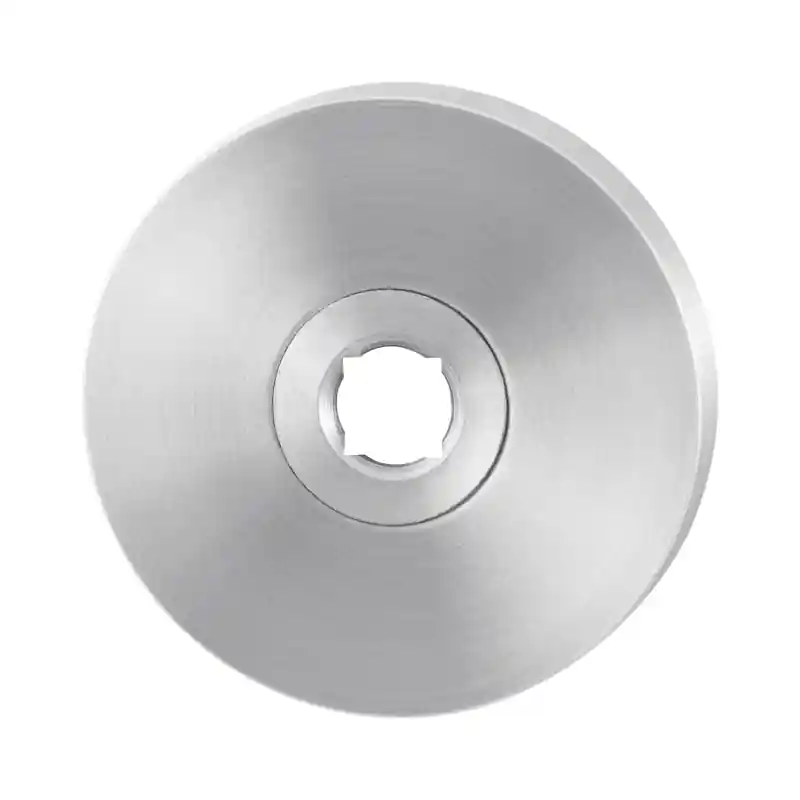 Speciale Aanbieding Rozet GPF1100.00 50x8mm RVS geborsteld