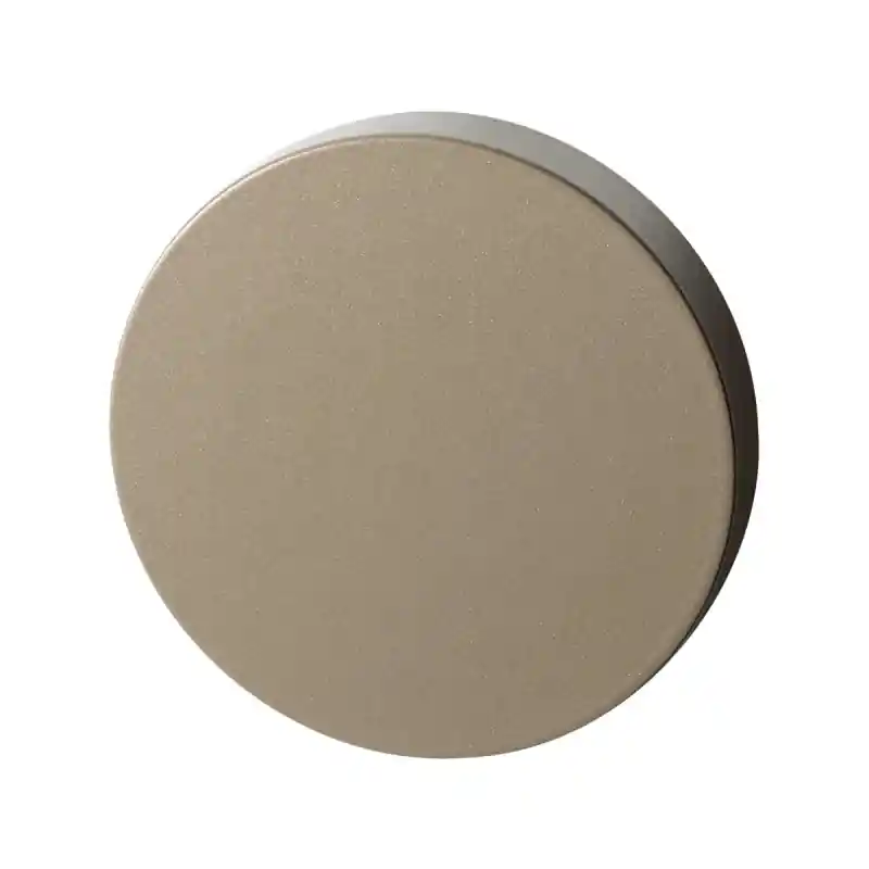 Merkproduct Blinde rozet GPF1100.A4.0900 50x8 mm Champagne blend