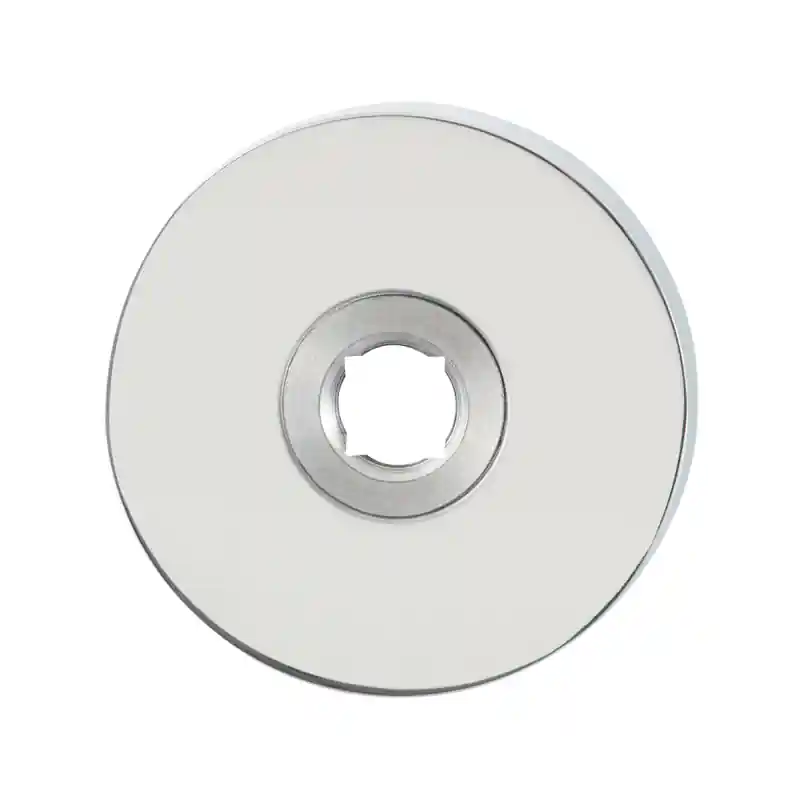 Rozet GPF1100.40 50x8mm RVS gepolijst Must-Have