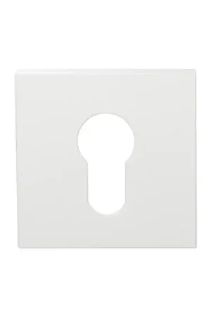 Beperkt Aanbod Cilinderrozet GPF199E 53x53x6,5 mm Wit