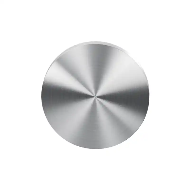 Flitsaanbieding Blinde rozet GPF199E 53x6mm RVS geborsteld